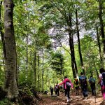 Trekking nel Bosco di Sant’Antonio: Guida Completa