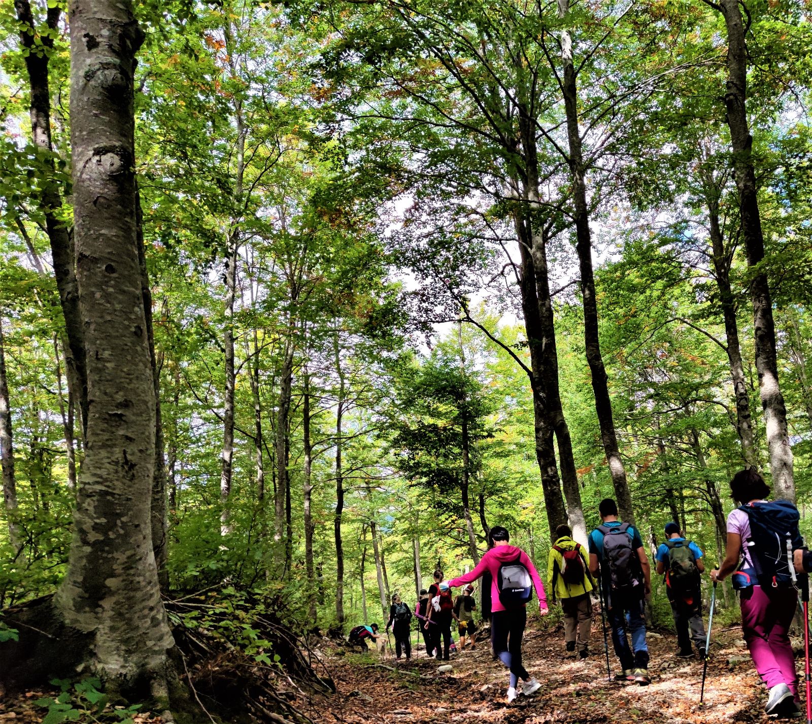 Trekking nel Bosco di Sant'Antonio Guida Completa