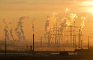 5 azioni concrete per ridurre l’impronta carbonica della tua azienda